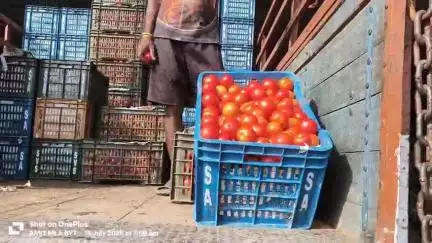 आज भाटापारा सब्जी मंडी में टमाटर करैत 350 रू बिक्री हुआ है आपका अपना सब्जी मंडी भाटापारा