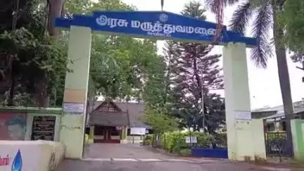 செங்கோட்டை: தோட்டத்திற்குச் சென்ற மூதாட்டி யை ஐந்து நாய்கள் சேர்ந்து கடித்ததில் மூதாட்டி படுகாயம்
