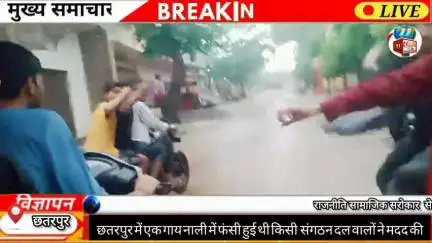 संगठन दल के लड़के पहुंचे और इकट्ठे होकर गाय को बाहर न