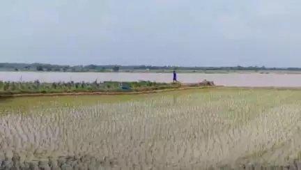 মেদিনীপুর: বিভিন্ন জলাধার থেকে ছাড়া জলে কংসাবতী স্ফীত! প্রায় কুড়ি বিঘা ফসলের জমি জলের তলায় মেদিনীপুর সদরে !#jansamasya