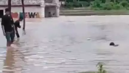 हुज़ूर: मूसलाधार बारिश से भाजपा विधायक नागेंद्र सिंह के घर में घुसा पानी, प्रशासनिक लापरवाही का आरोप