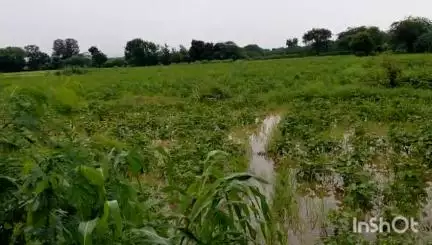 आसीन्द: बामणी एवं दातडा बांध गांवों में लगातार एक सप्ताह से बारिश के कारण फसलें पानी में डूबी, किसानों में मायूसी