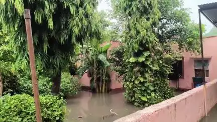 जौरा: जौरा शहर में लगातार बारिश से नगर पालिका के पीछे बने शासकीय क्वार्टर में भरा पानी