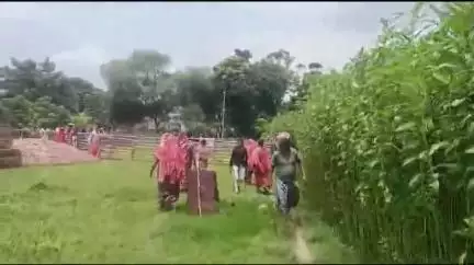 হরিহরপাড়া: তরতিপুরে পাটের জমি থেকে পচাগলা মৃতদেহ উদ্ধার, এলাকায় চাঞ্চল্য