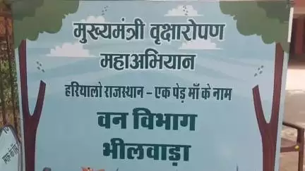 भीलवाड़ा: मुख्यमंत्री वृक्षारोपण अभियान के तहत जिला कलेक्टर कार्यालय में खोला गया पौधा विक्रय केंद्र, पौधे लेने उमड़ी भीड़