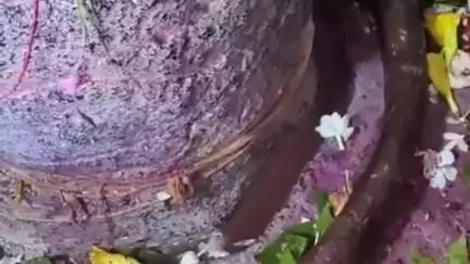 सिमरी बख्तियारपुर: बाबा मटेश्वर धाम काटों में सावन के पहले सोमवार को 2 लाख से अधिक श्रद्धालु करेंगे जलाभिषेक