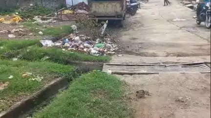 मूंदी में सफाई पर सख्ती, उपाध्यक्ष बोले — कामचोरी नहीं होगी बर्दाश्त
वार्ड 2 व 4 में खुद पहुंचे उपाध्यक्ष मण्डलोई, माता