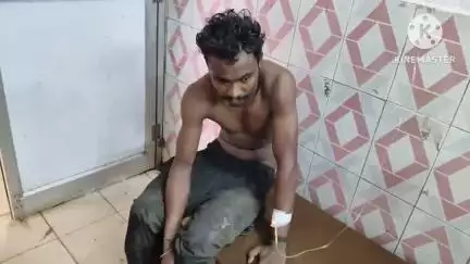 ଧର୍ମଗଡ: ବଡକୁଟୁ ଠାରେ ବିଷାକ୍ତ ସାପ କାମୁଡାରେ ଯୁବକ ଗୁରୁତର, ଜିଲ୍ଲା ମୁଖ‍୍ୟ ଚିକିତ୍ସାଳୟକୁ ସ୍ଥାନାନ୍ତର