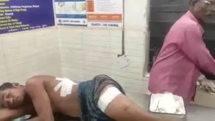 ସୁକିନ୍ଦା: ନଗଡା ଜଙ୍ଗଲରେ ଭାଲୁ ଆକ୍ରମଣରେ ସୁନା ପ୍ରଧାନ ଗୁରୁତର