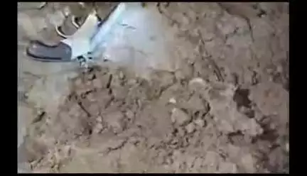 ऋषिकेश: गुमानीवाला में हरियाणा नंबर की कार में सवार चार युवकों पर फायरिंग का आरोप, कार का वीडियो हुआ वायरल