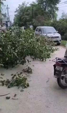 बहरोड़: बहरोड में चलती बाइक पर गिरी पेड़ की डाली, अस्पताल से लौटते समय हाथ व कंधे में आई चोट, घटना सीसीटीवी में कैद