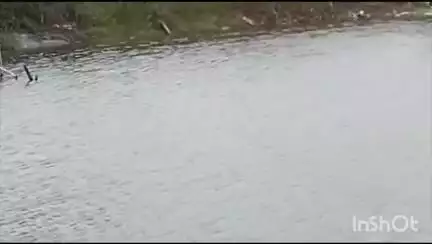 রাজারহাট: মধ্যমগ্রামের পশ্চিম খিলকাপুর গ্রাম পঞ্চায়েতের নেতাজি পল্লী এলাকায় সরকারি প্রকল্পের নামে পুকুর ভরাটের অভিযোগ#jansamasya