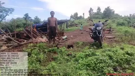 अंबिकापुर: मैनपाट वन परीक्षेत्र में एक बार फिर हाथियों ने मचाया आतंक