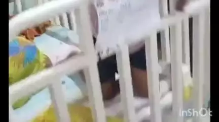मिरज: मिरजेत दर्गा चौक शास्त्री चौक परिसरात मोकाट कुत्र्यांचा 9बालकांना चावा,महापालिकेविरोधातकाँग्रेस आक्रमक #jansamasya