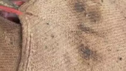 गोपद बनास: ग्राम ताल में नदी किनारे बोरी में मिली अज्ञात लाश, मामले की जांच में जुटी पुलिस