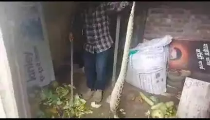 ऋषिकेश: प्रगति बिहार में जिंदा खरगोश को निकल गया अजगर, वन विभाग ने किया रेस्क्यू