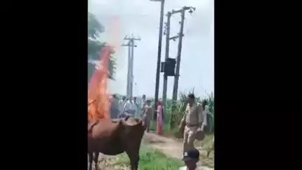 बड़ौत: फजलपुर में खरीदी गई जमीन पर कब्जे को लेकर बवाल, सोशल मीडिया पर वीडियो हुआ वायरल