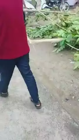 पटेल चौक पर एक पेड़ मां के नाम का उल्लंघन सरकार पेड़ लगवा रही और यहां काटे जा रहे #dm बदायूं