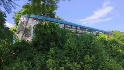 মাদারিহাট: রবিবার ডিমডিমায় বাস মোটরবাইক সংঘর্ষে আহত হলেন তিনজন
