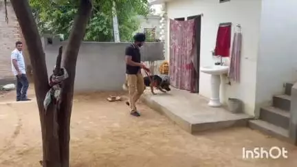 फतेहाबाद: रतिया क्षेत्र में पुलिस का सर्च अभियान, नशा तस्करों पर कसी नकेल, कई ठिकानों पर दबिश
