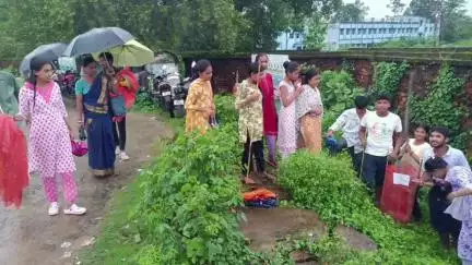 কুলতলি: একাধিক সংগঠনের উদ্যোগে নদী ভাঙন রোধে কুলতলীর কৈখালীতে নতুন চারা গাছ রোপণ ও তার পরিচর্যা শুরু