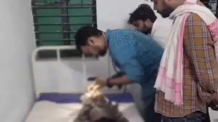 जखनिया: गाजीपुर में तेज रफ्तार बाइक ने मासूम की जान ली, ननिहाल से लौटते समय इब्राहिमपुर माइनर के पास हुआ दर्दनाक हादसा