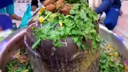 दमोह: सावन सोमवार की तैयारियों का प्रशासनिक जायजा, बांदकपुर मंदिर में व्यवस्थाएं सुनिश्चित की गईं