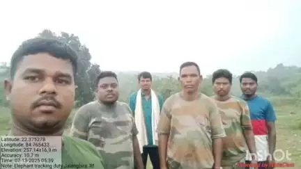ବୀରମିତ୍ରପୁର: ରାଉରକେଲା ବନଖଣ୍ଡର ବିଭିନ୍ନ ରେଞ୍ଜରେ ହାତୀଙ୍କ ଉପସ୍ଥିତି ନେଇ ସୂଚନା ଦେଲା ବନ ବିଭାଗ
