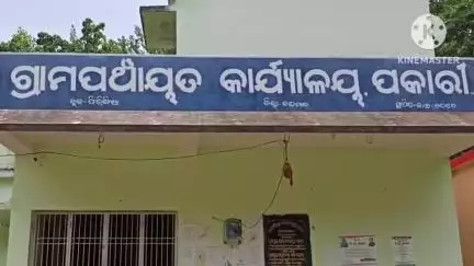 ଫୁଲବାଣୀ ସହର: ଚାଷ କାମକୁ ଆପଣେଇ ନେଇଛନ୍ତି ଫୁଲବାଣୀର ପୂର୍ବତନ ବିଧାୟକ ଅଙ୍ଗଦ କହଁର, ଚାଷ ଜମିରେ ଆସିଲେ ନଜର