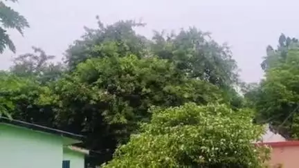 କେନ୍ଦୁଝର ସହର: ଆସନ୍ତାକାଲି ଜିଲ୍ଲାରେ ପ୍ରବଳ ବର୍ଷା ସମ୍ଭାବନା ନେଇ ଅରେଞ୍ଜ ୱାର୍ଣ୍ଣିଂ ଜାରି