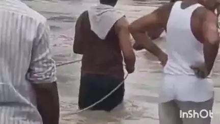 सिरोंज: महुआ खेड़ा में उफनती नदी पार करते ग्रामीणों का वीडियो आया था सामने; SDM ने चौकीदार, पटवारी व पंचायत सचिव पर की कार्रवाई