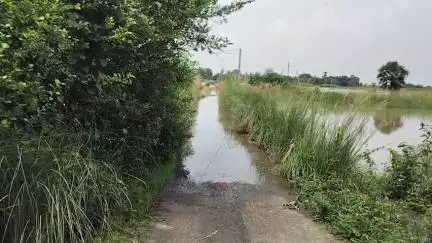 মঙ্গলকোট: কুনুর নদীর জল বাড়তেই জলমগ্ন মঙ্গলকোটের একাধিক জায়গা, জলে ডুবে গেল মল্লিকপুর গ্রাম ঢোকার প্রধান রাস্তা