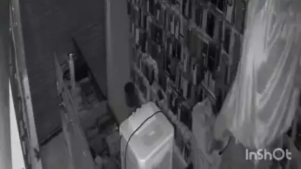 पालघर: बोईसर येथे महिलेच्या वेषात आलेल्या चोरट्याने मोबाईल दुकानात केली चोरी; घटना सीसीटीव्ही कॅमेऱ्यात कैद