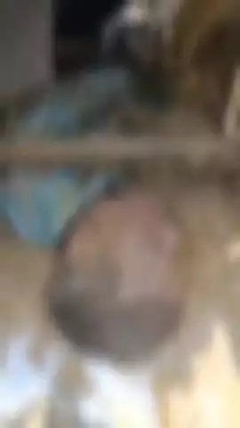 बागपत: सिसाना गांव में धान की बुआई करते समय ट्रैक्टर पलटने से किसान योगेंद्र की हुई मौत