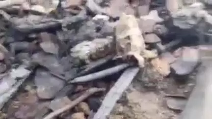 धरियावद: वगतपुरा के बोरदा में शार्ट सर्किट से लगी आग, 2 बकरियां जिंदा जल गईं