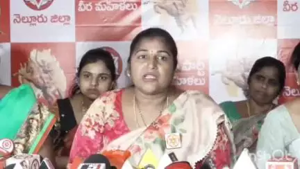 సర్వేపల్లి: అలాంటి కామెంట్స్ వల్ల మహిళలు భయపడుతున్నారు : నెల్లూరులో జనసేన వీర మహిళ విజయలక్ష్మీ