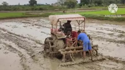 बैकुंठपुर: कोरिया जिले से मिली जानकारी के अनुसार कृषक उन्नति योजना के तहत धान छोड़ अन्य फसलों पर 11 हजार तक की सहायता