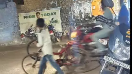 నందికొట్కూరు పట్టణంలోని పలు కాలనీలో: వీధి కుక్కల బెడద