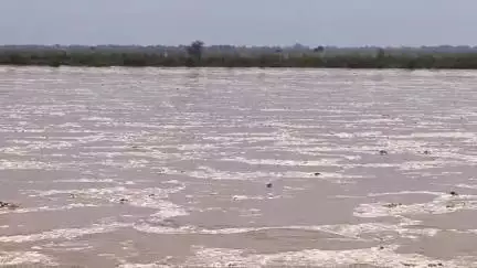 नौहट्टा: सोन नदी के किनारे रहने वाले सावधान, यदुनाथपुर में सोन नदी का जलस्तर खतरे के निशान से ऊपर