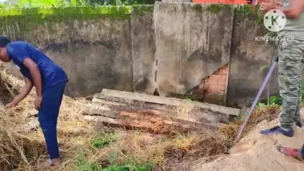 बैकुंठपुर: कोरिया जिले के पूटा गांव में वन विभाग के सीमेंट पोल चोरी का बड़ा मामला, 7 संदिग्धों पर चल रही है जांच