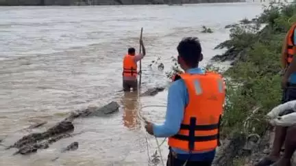 सिहावल: सीधी जिले में सोन नदी में फंसे आवारा मवेशी सुरक्षित निकाले गए