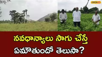 Navadhanya Cultivation | నవధాన్యాలు సాగు చేస్తే ఏమౌతుందో తెలుసా.. | Vizianagaram | #local18v