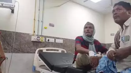 बेतिया: महावीरपुर गांव में खेत में काम करते समय किसान को विषैले सांप ने काटा, जीएमसीएच में भर्ती
