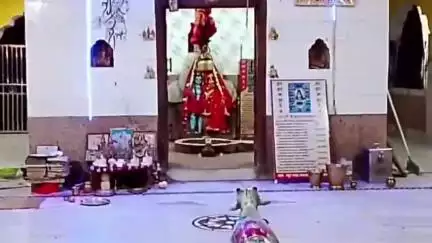 फरसाबहार: कोताईबीरा में सावन सोमवार पर उमड़ेगा आस्था का सैलाब, श्रद्धालु चढ़ाएंगे जल