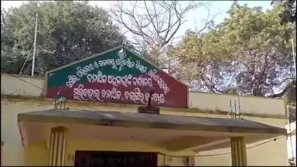 କଣ୍ଟାବାଞ୍ଜି: ବାରବନ୍ଧ ଗାଁରେ ୩୫ ଟିକିଆ ହାତୀପଲ, ଆତଙ୍କିତ ଗ୍ରାମବାସୀ