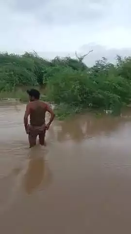जिला मुरैना, तहसील सबलगढ़, ग्राम चनौटा 



#मुरैना सबलगढ़ ##gajender8333
