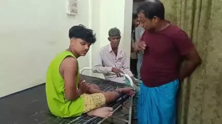 হরিহরপাড়া: হরিহরপাড়ায় বিষাক্ত সাপের ছোবলে ১ কিশোর অসুস্থ