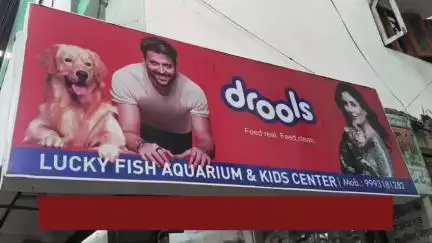 सईद उद्दीन 
लकी फिश एक्वेरियम & बाइसिकल स्टूडियो बीना