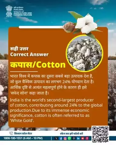 Cotton: India's 'White Gold', 24% of global output | कपास: भारत का 'सफेद सोना', 24% वैश्विक उत्पादन!

#Cotton #AgriGoI