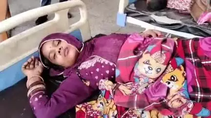 मुरादाबाद: मुरादाबाद हरिद्वार स्टेट हाईवे पर नींद की झपकी से पिकअप पेड़ से टकराई, स्नान करने जा रहे 10 से 12 शिव भक्त घायल
